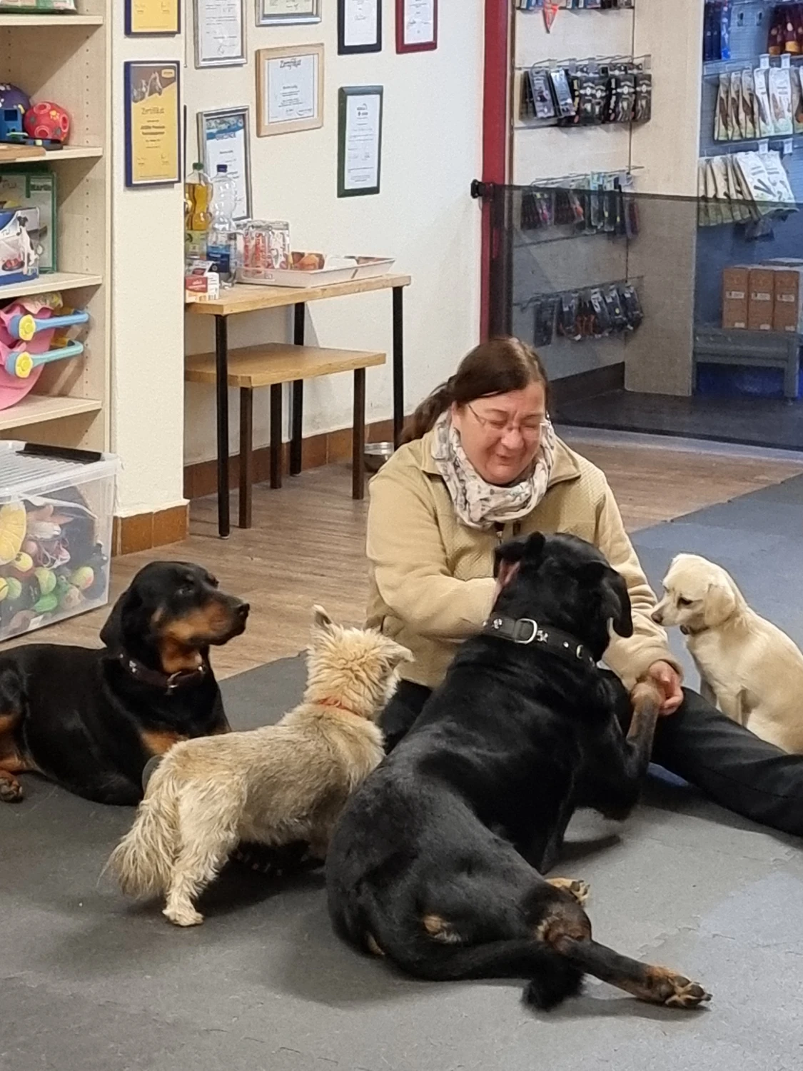 TIERWELT WESTKUSTE Hundeschule