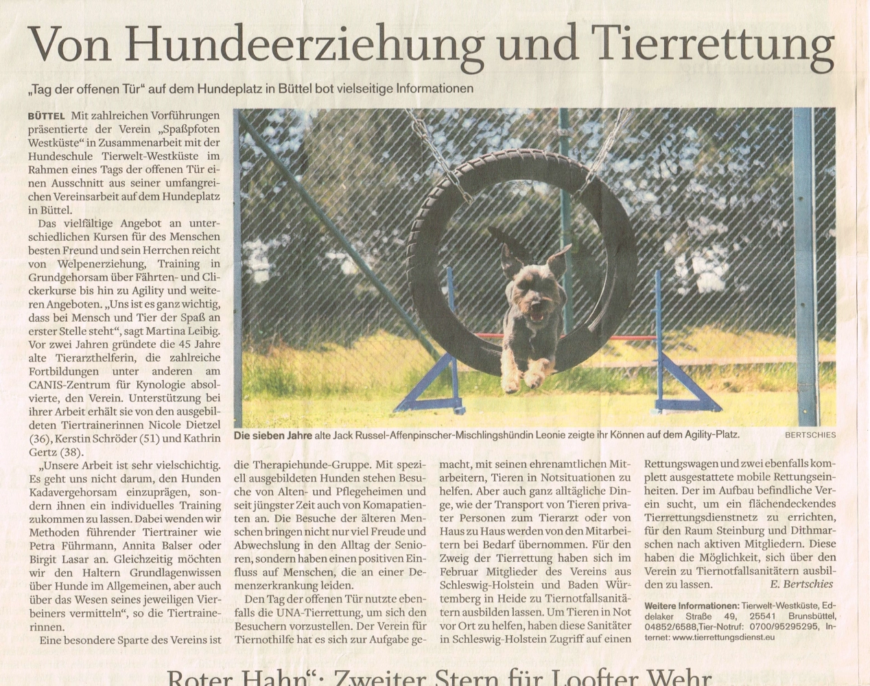 TIERWELT WESTKUSTE Zeitungsberichte